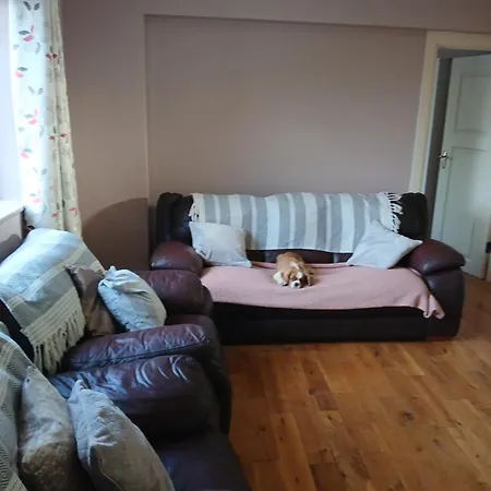 Apartment Shiv's Comfy *